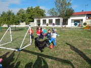 Sorbon - pes fotbalista